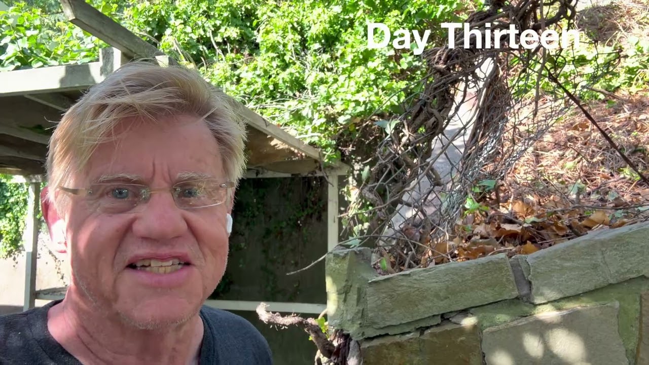 17 Tackling the Ivy on West  Retaining Wall