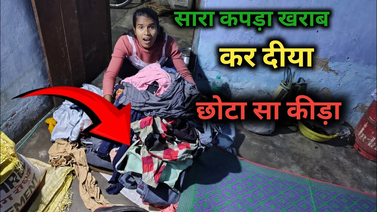 सारा कपड़ा खराब कर दिया छोटा सा कीड़ा | vlog video | #tuntunikumarivlogs 