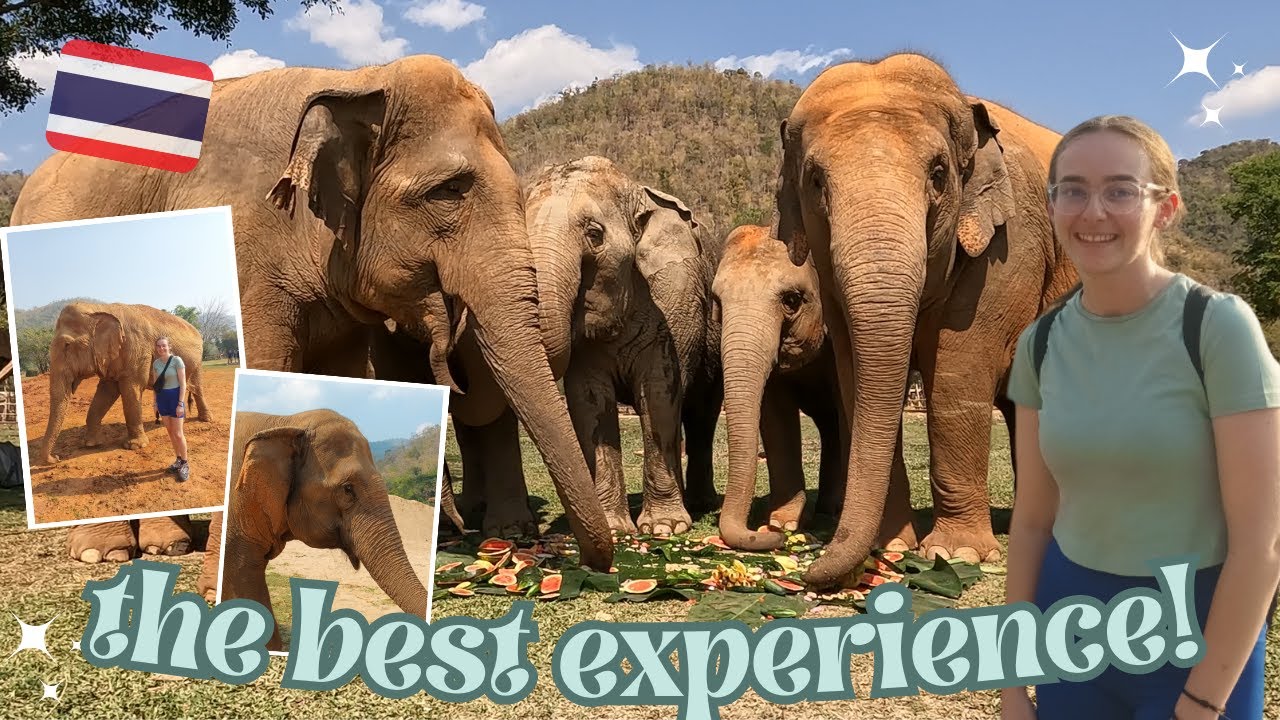 i stayed with elephants overnight!