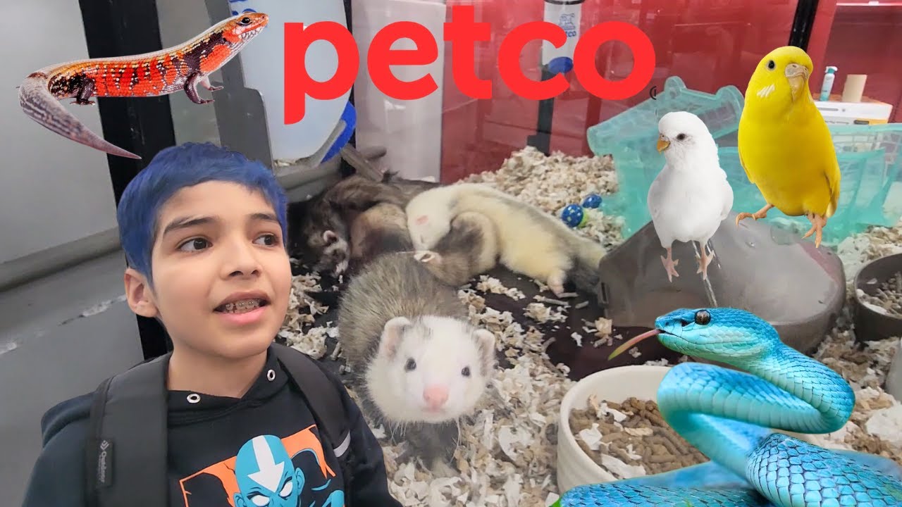 SURPRISING ANIMALS YOU CAN OWN FROM PETCO / WHAT PET SHOULD I GET ?