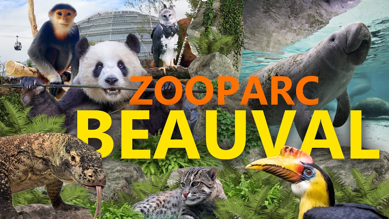 ZooParc Beauval - die Pflichtadresse in Frankreich? | Zoo-Eindruck