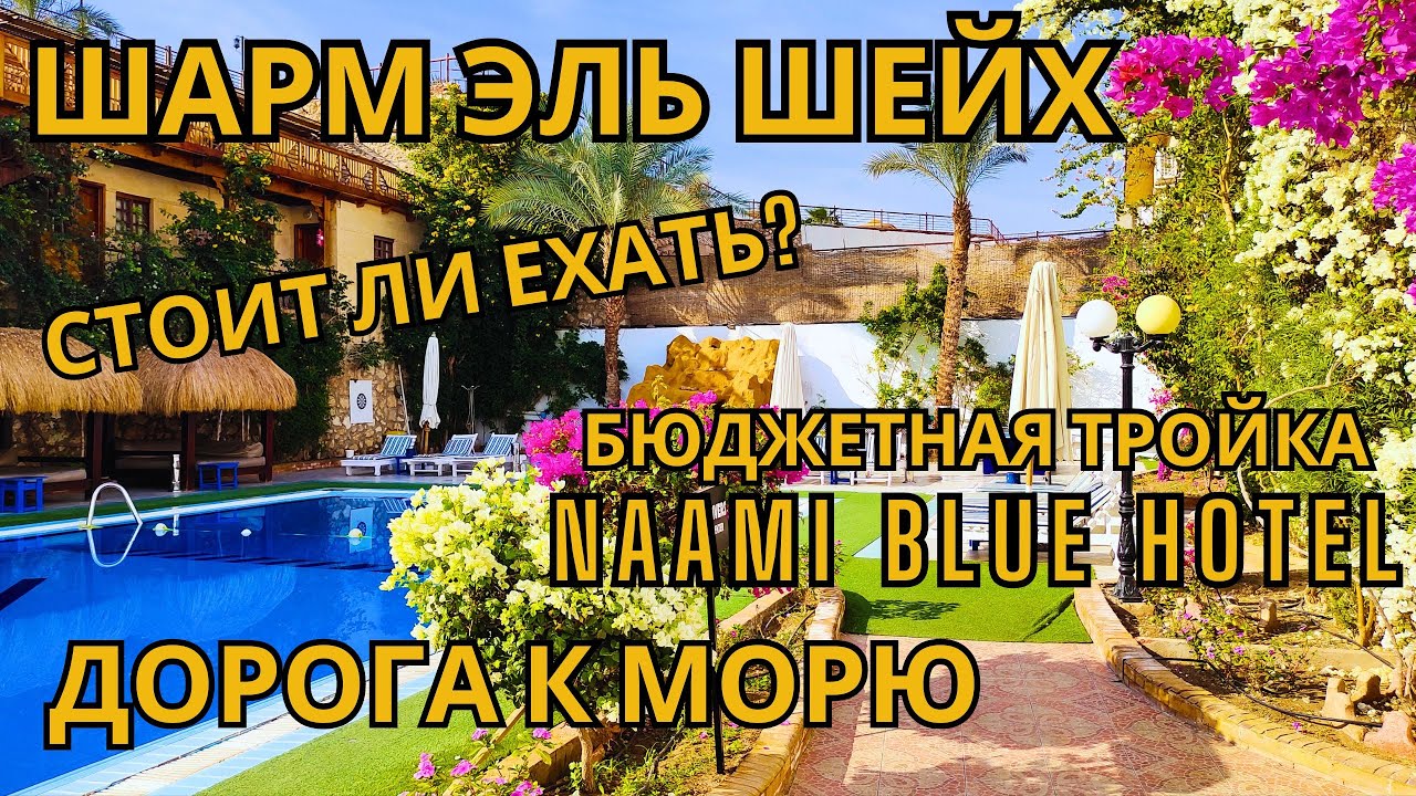 Шарм Эль Шейх. Бюджетная тройка NAAMİ BLUE HOTEL. Стоит ли ехать?