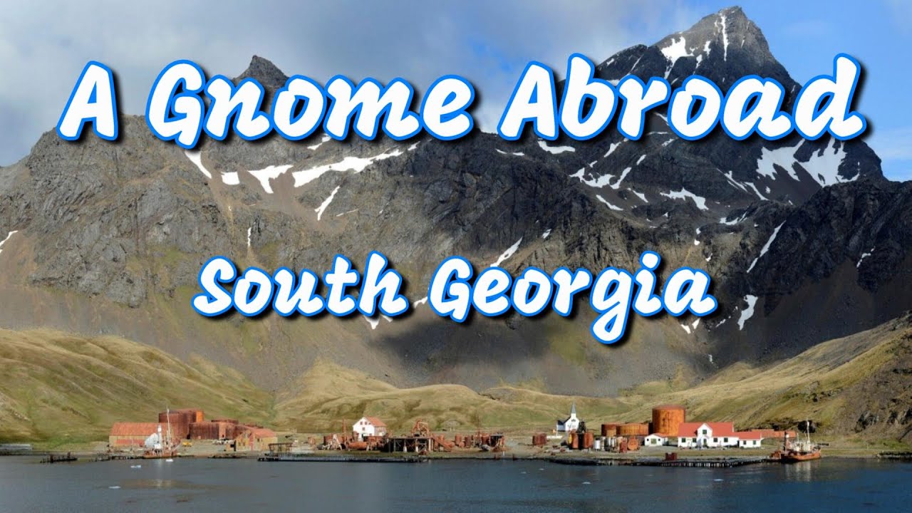 A Gnome Abroad - South Georgia