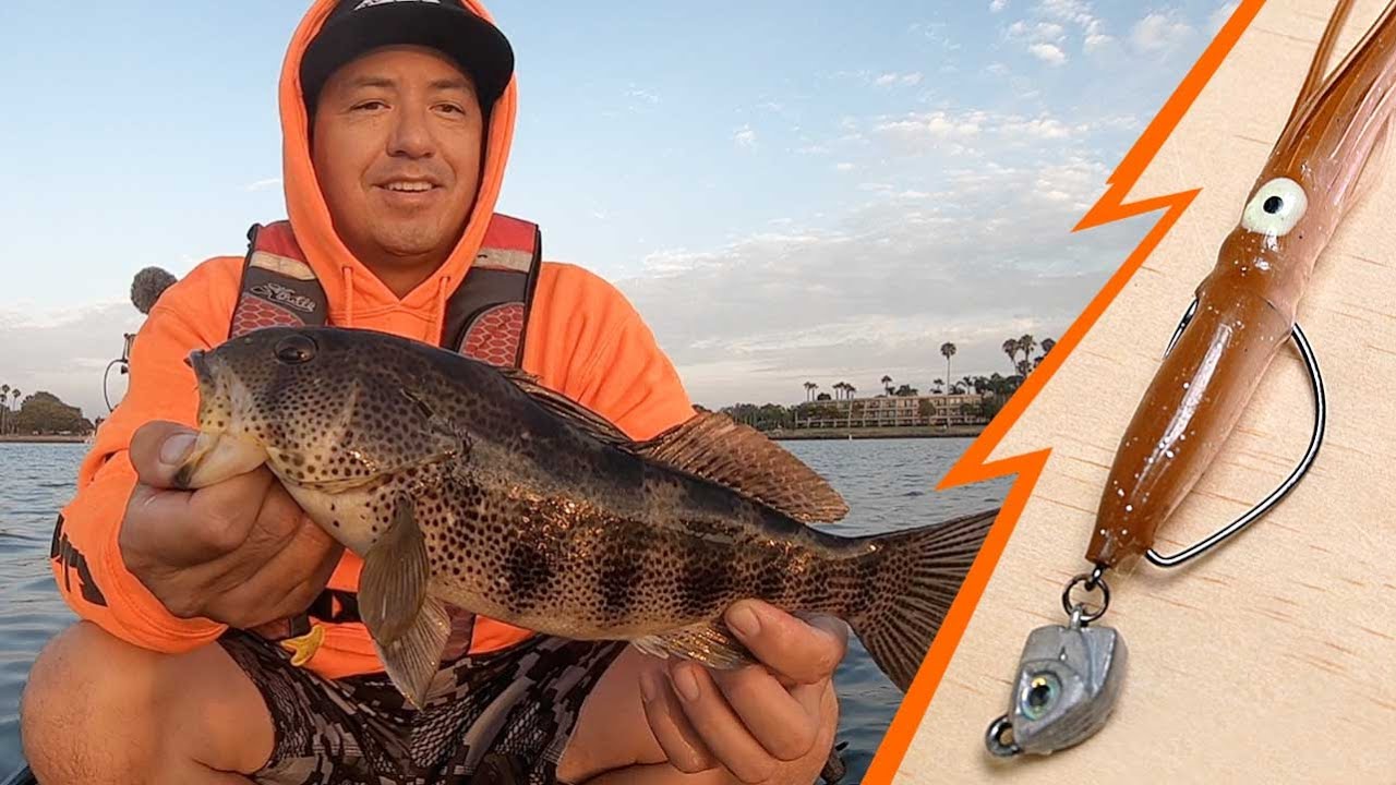 that Squid thing  |  Spotted Bay Bass  |  MB, CA