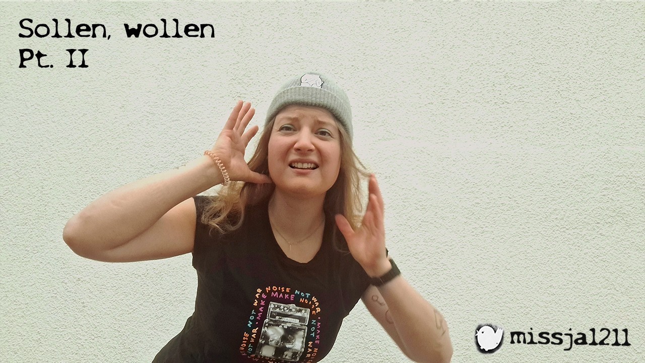 missja1211 - Sollen, wollen Pt. II
