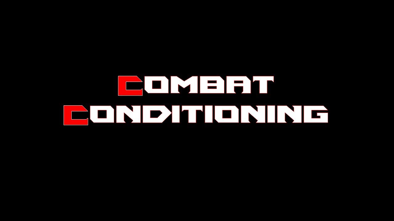 Video Combat Conditioning