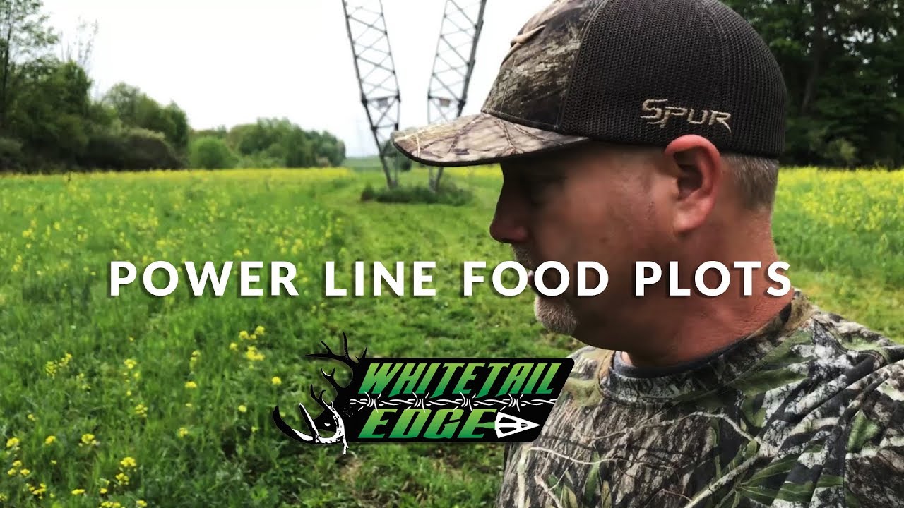 Whitetail Edge Booner School - "Power Line Food Plots"