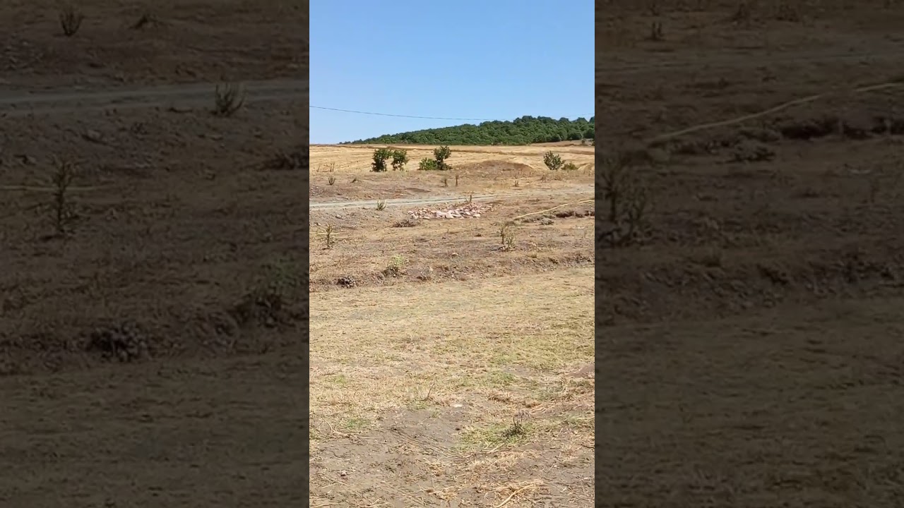 Koyunoğlu Köyü Yamaçta Tanıtımı 