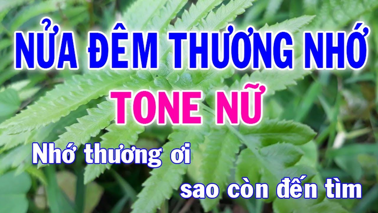Karaoke Nửa Đêm Thương Nhớ Tone Nữ Nhạc Sống l Nhật Nguyễn