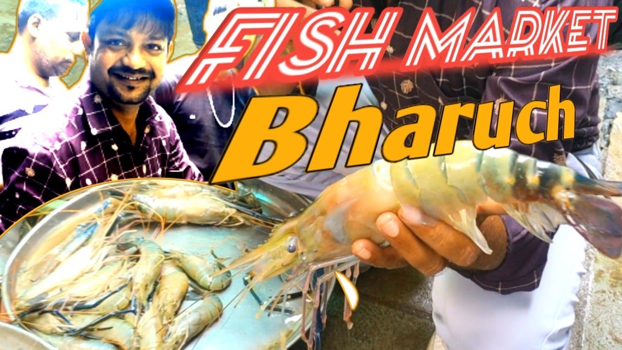 Bharuch Fish Market | Katopor Bazaar Bharuch @ckvlogs11