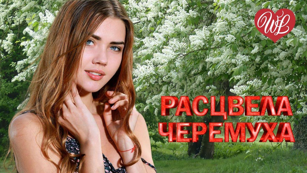 РАСЦВЕЛА ЧЕРЕМУХА ♫ ХИТЫ ШАНСОНА ДЛЯ ТАНЦПОЛА WLV ♫ ПЕСНЯ ЗАЖИГАЛКА ♫ RUSSISCHE MUSIK ♫