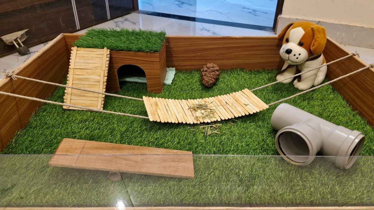 DIY Baby Guinea Pig Enclosure & Playground