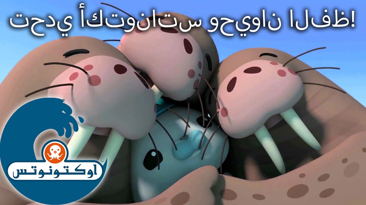 أوكتونوتس | تحدي أكتوناتس وحيوان الفظ! | حلقات مُجمعّة