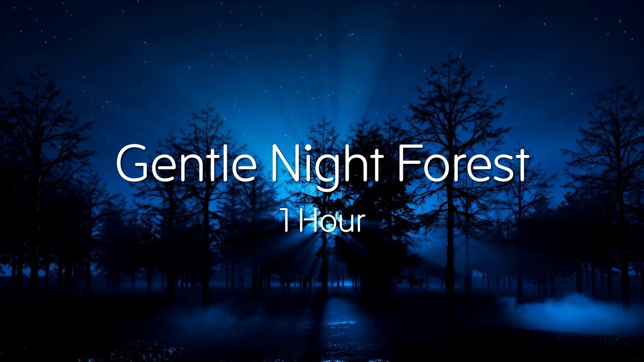 Gentle Night Forest Ambience • 1 Hour Crickets & Soft Wind Sounds (No Music)