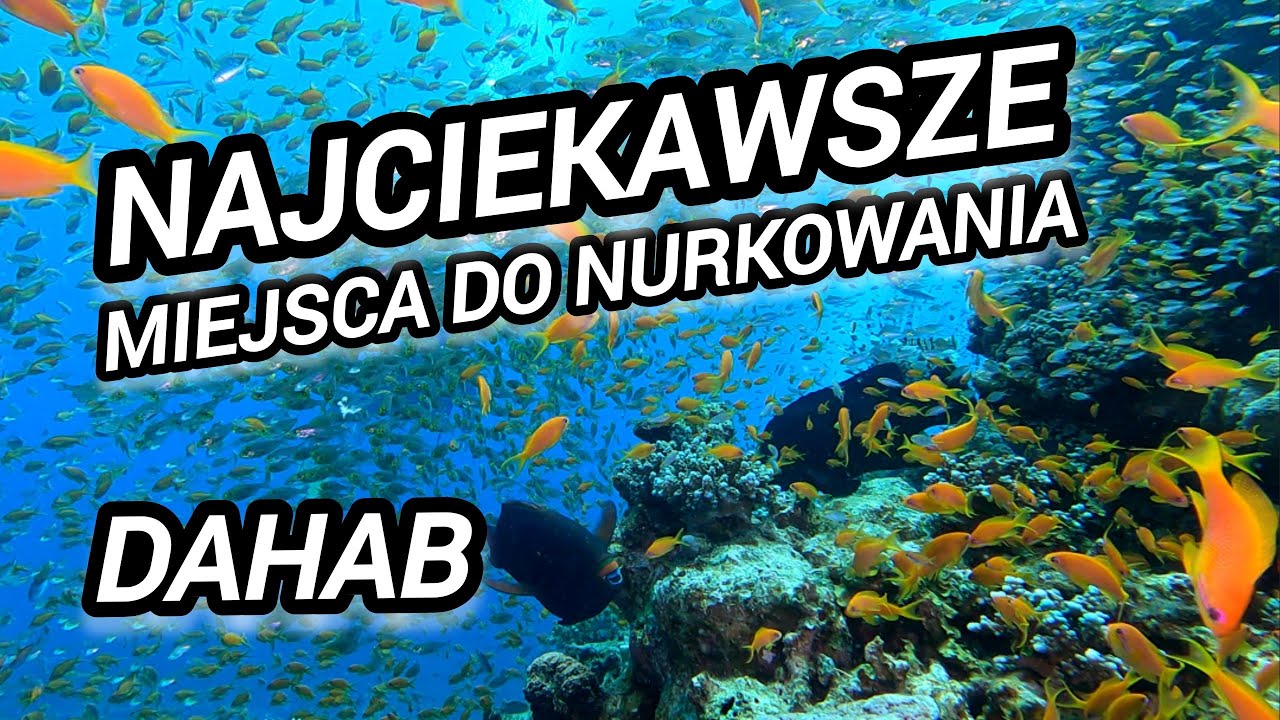 🌍 MIEJSCA NURKOWE, KTÓRE WARTO ZOBACZYĆ 🤿 DAHAB