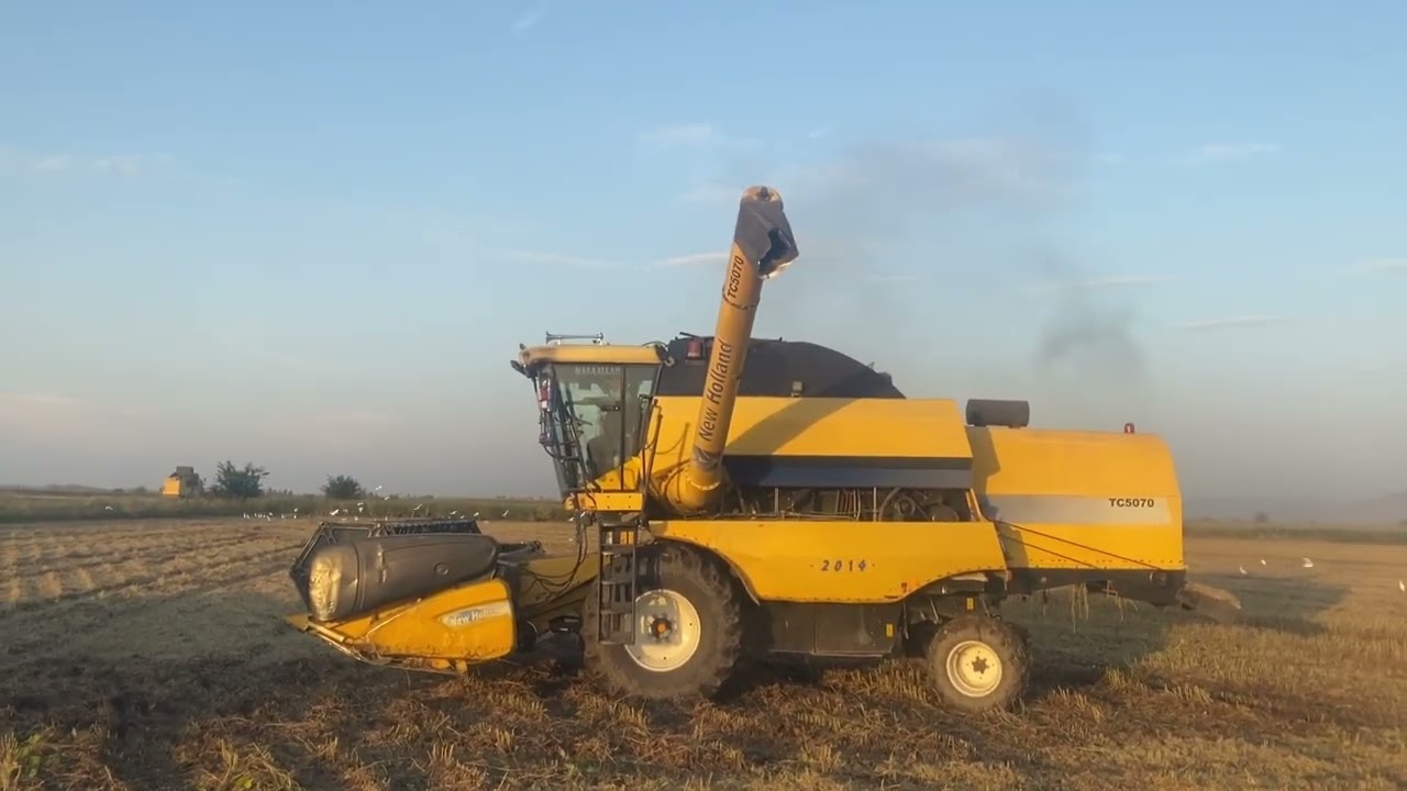 Soyafasülyesi Hasatı Son Gün #Progen #Lider 24 Ekim 2023 TC5070 Biçerdöver Nevholland