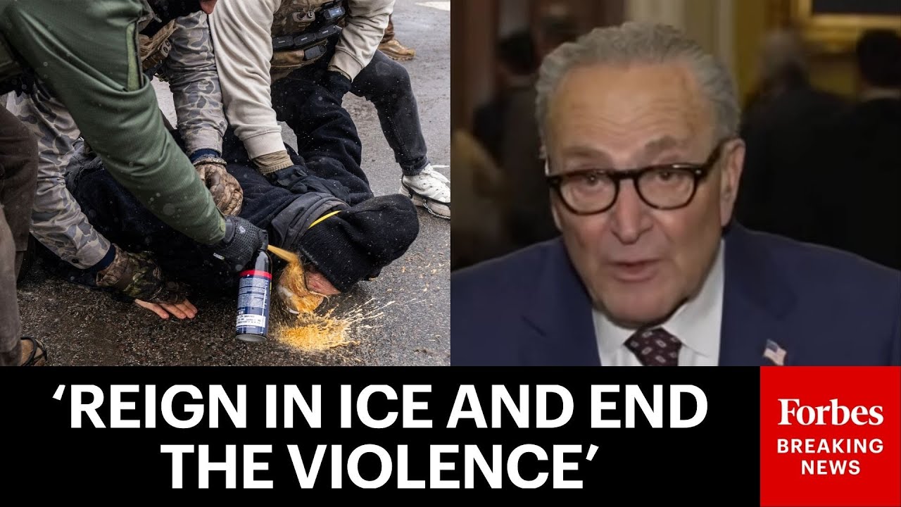 Chuck Schumer Blasts 'State-Sanctioned Thuggery' By ICE, Demands GOP Support Reforms