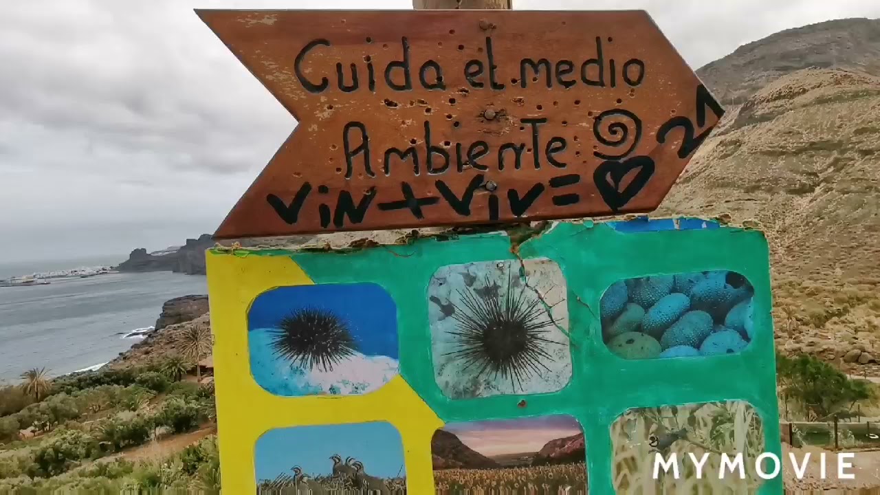BARRANCO Y PLAYA DE GUAYEDRA, AGAETE - GRAN CANARIA 🇮🇨 04-08-2021