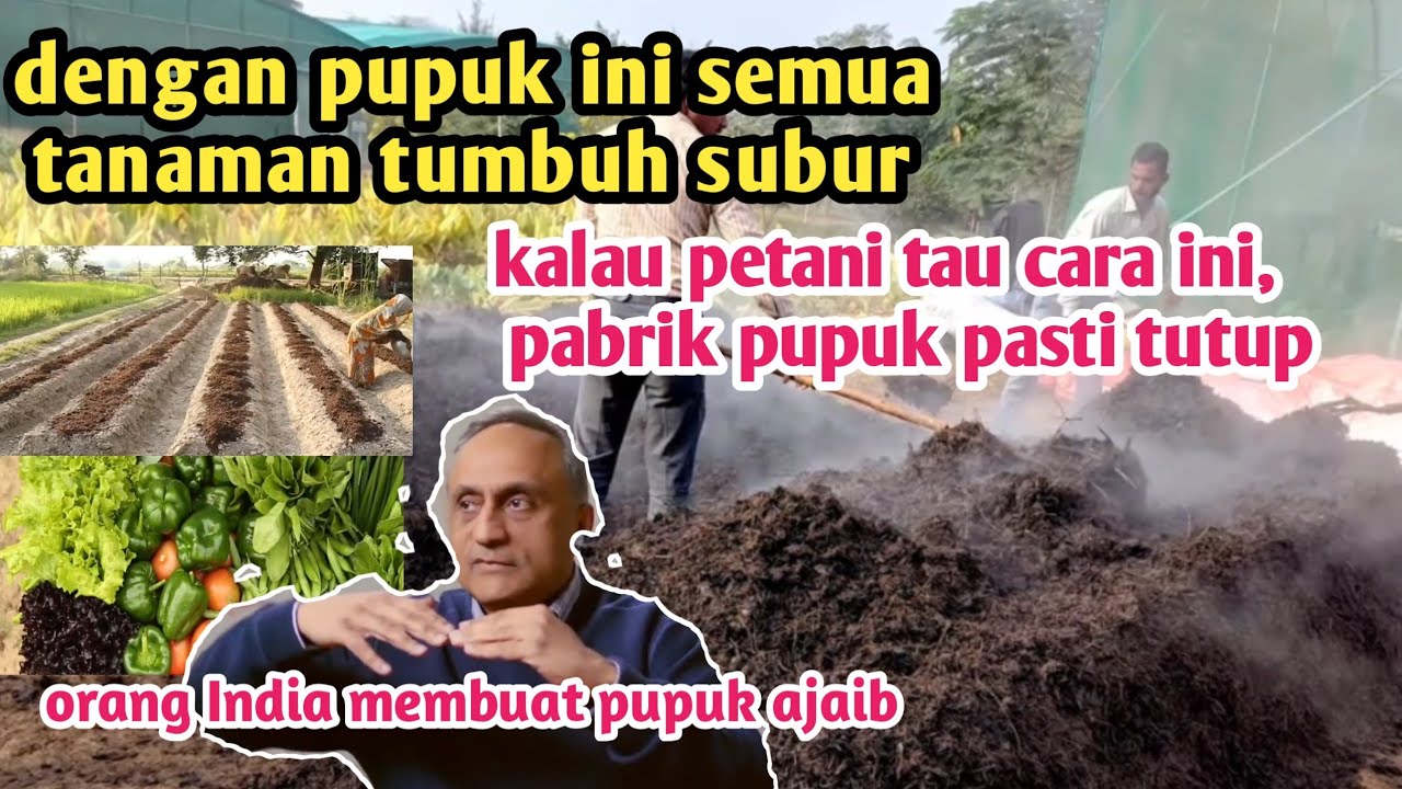 pupuk gratis untuk petani, saatnya petani indonesia tau cara ini @reang wong tani