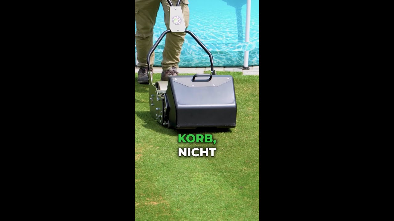 Poa Annua