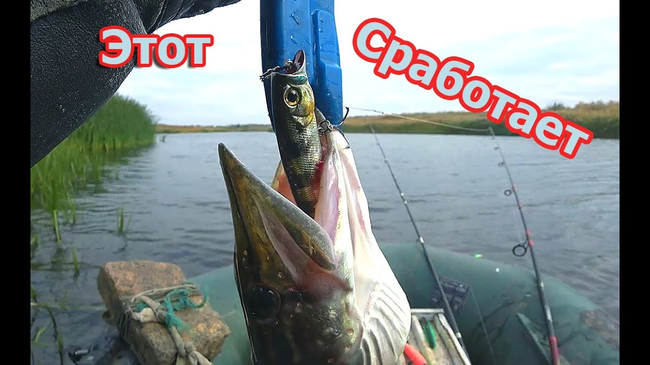 ГДЕ осенью - поймать щуку на ПОППЕР.  Мой улов.