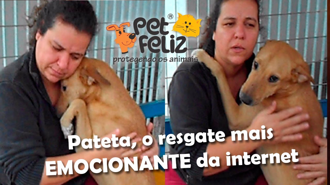 Cão Pateta, nas ruas com pavor, uma lição de amor de cão