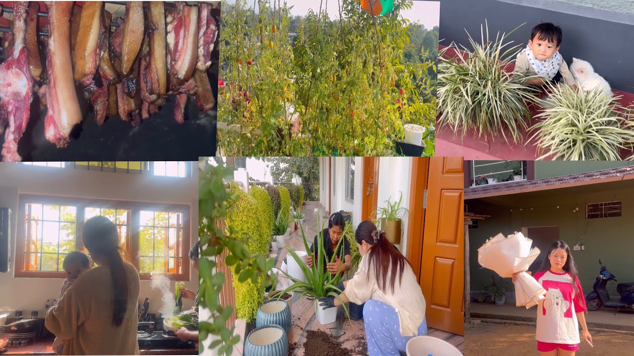 It’s my sister’s birthday 🎂 ✨| Family Dinner| Work from home life | exploring organic kitchen garden