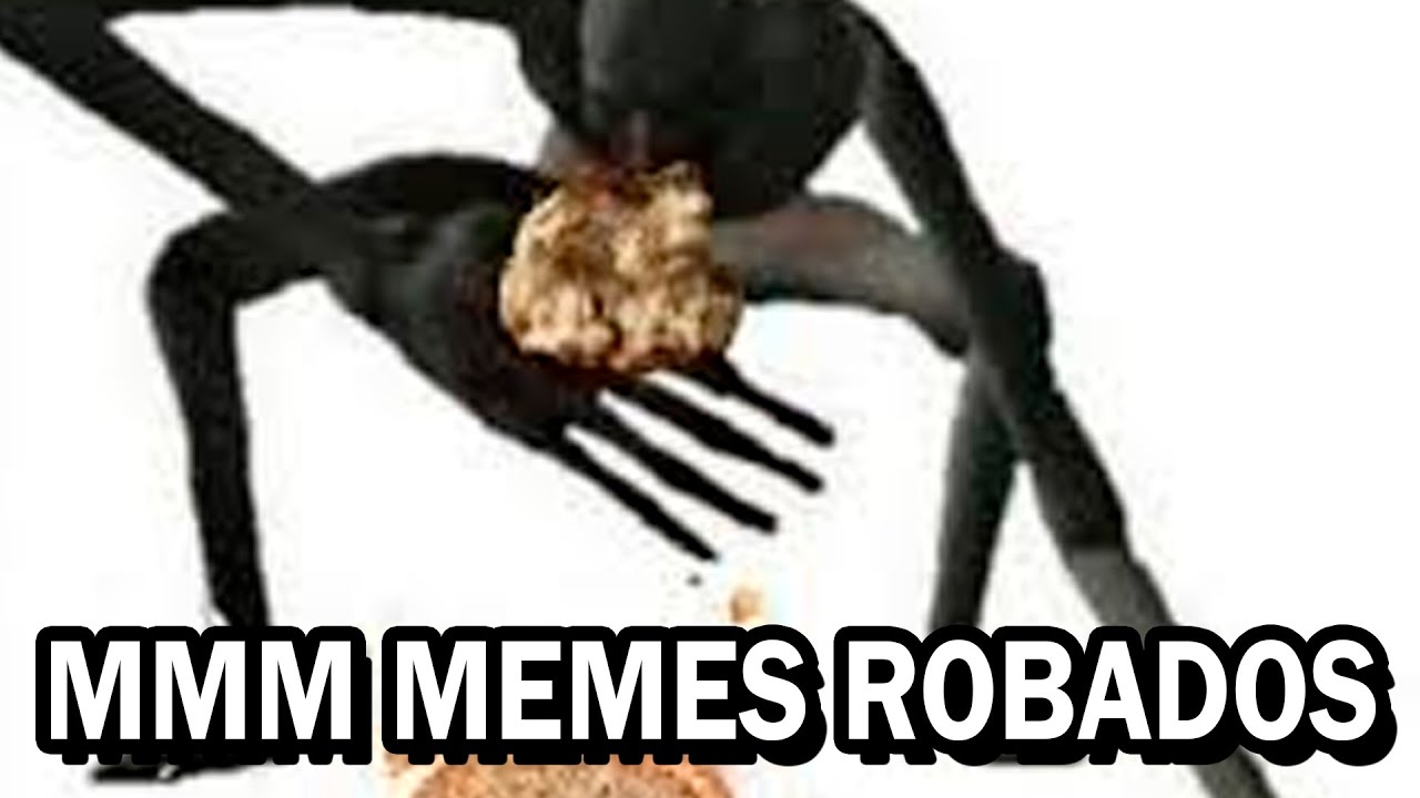 Shitposting Compilation v205 | Shitpost Espa&ntilde;ol