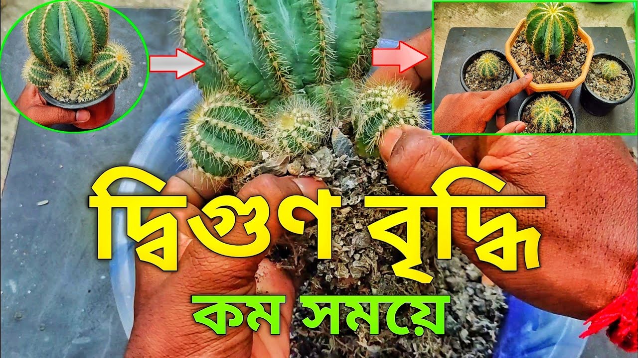 দ্বিগুণ বৃদ্ধি কম সময়ে | Double Growth In Very Short Time