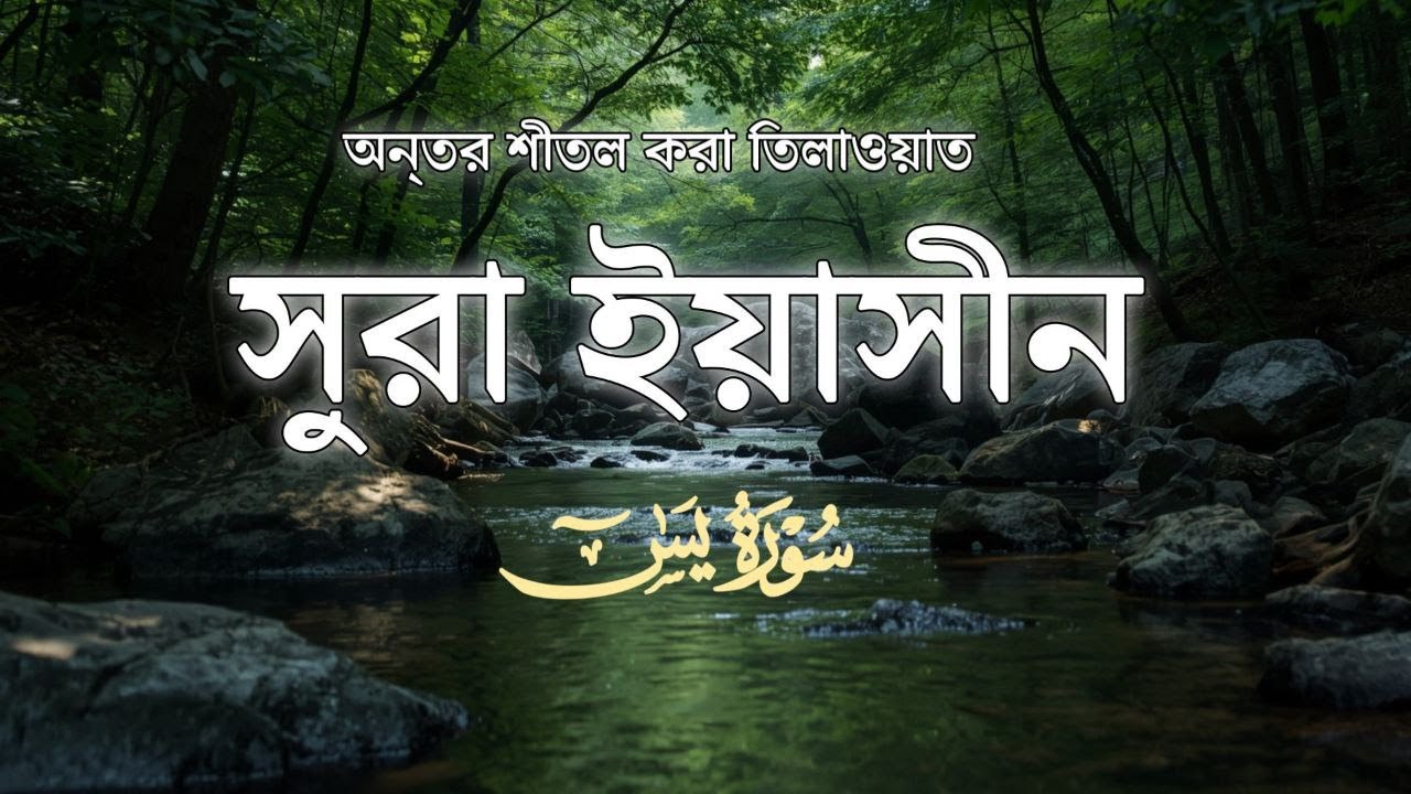 অন্তর শীতল করা সূরা ইয়াসিন এর তিলাওয়াত  -Surah Yasin Recited by Zain Abu Kautsar