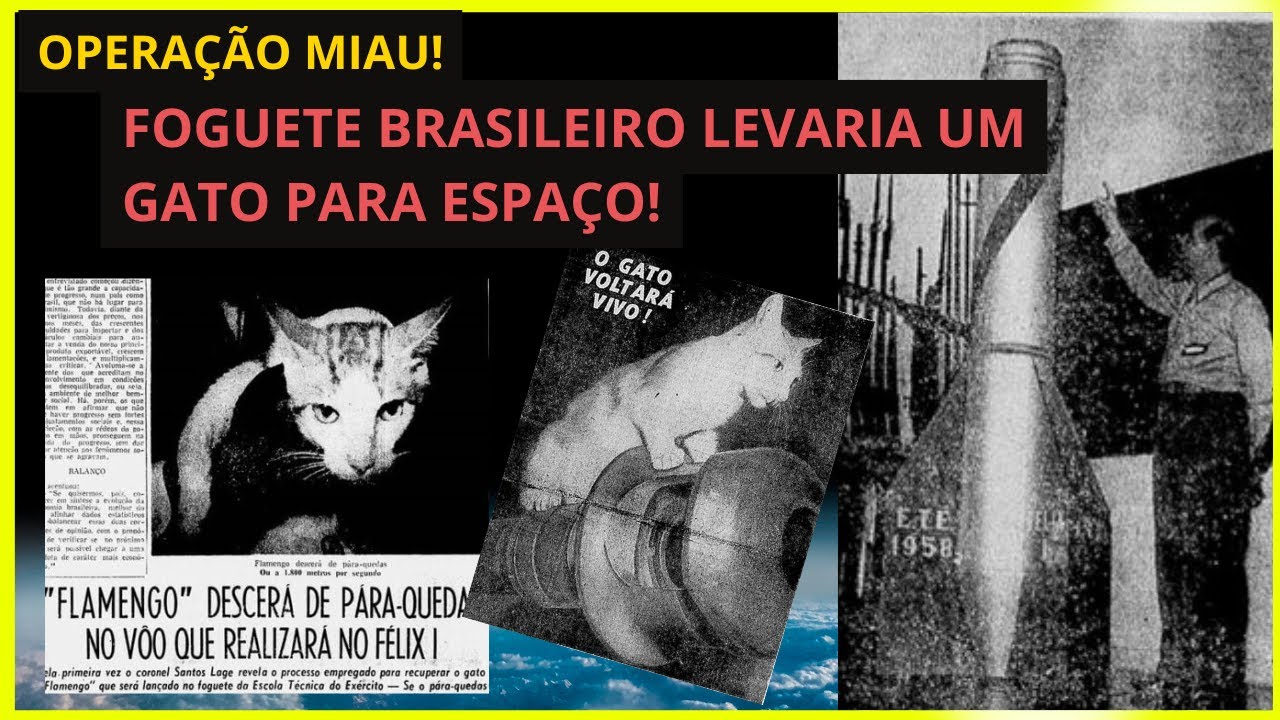 FELIX-I : Foguete brasileiro que iria levar um GATO para o espaço !!