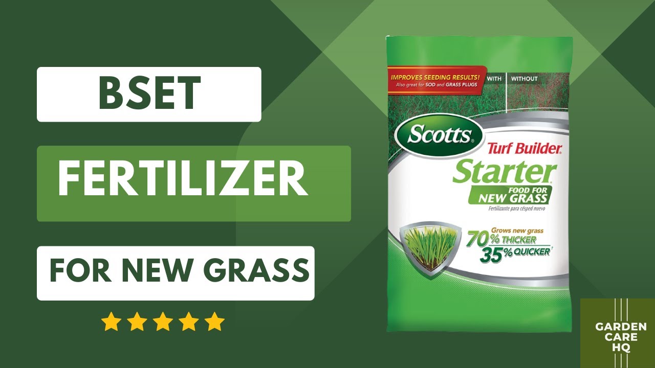 Top 5 Best Fertilizer for New Grass 2026