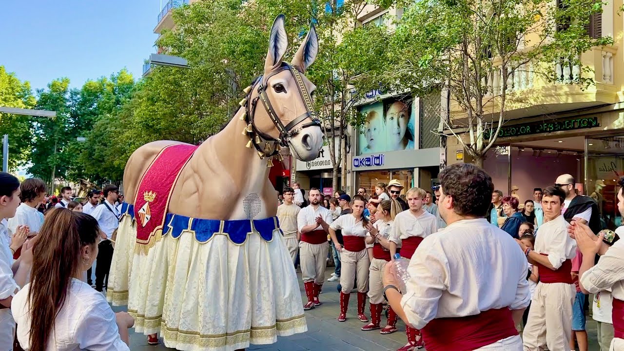 La gran pel·lícula II - Amb totes les Mulasses de la MULASSADA de Granollers