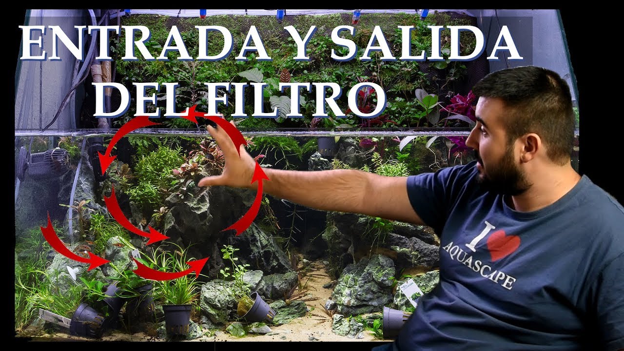 🔄COMO COLOCAR ENTRADA Y SALIDA DEL FILTRO. ♻️ BOMBAS DE CIRCULACIÓN. LAS CORRIENTES PERFECTAS