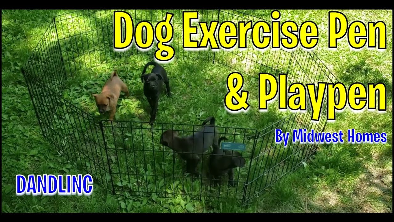 Dog Exercise Pen & Playpen by Midwest Homes