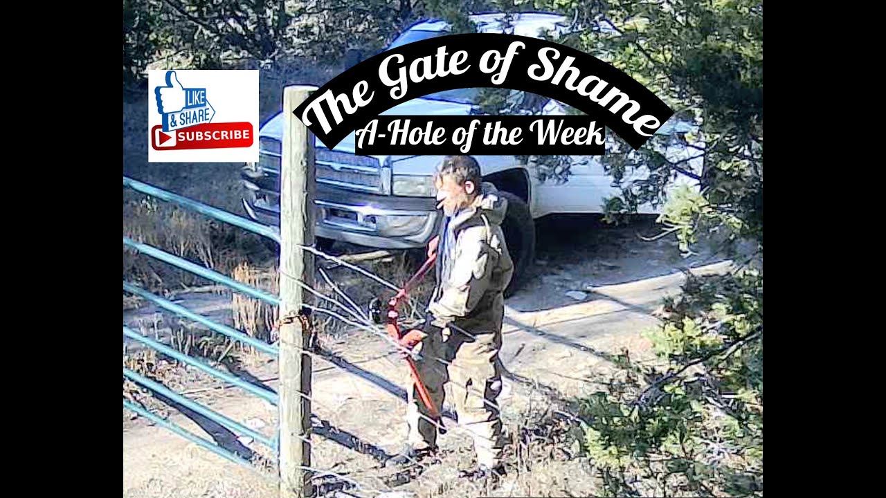 Wanted-Burglar, Thief, and Trespasser