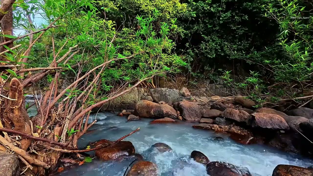 Deep Sleep Aid 🌙 Gentle Water Stream White Noise