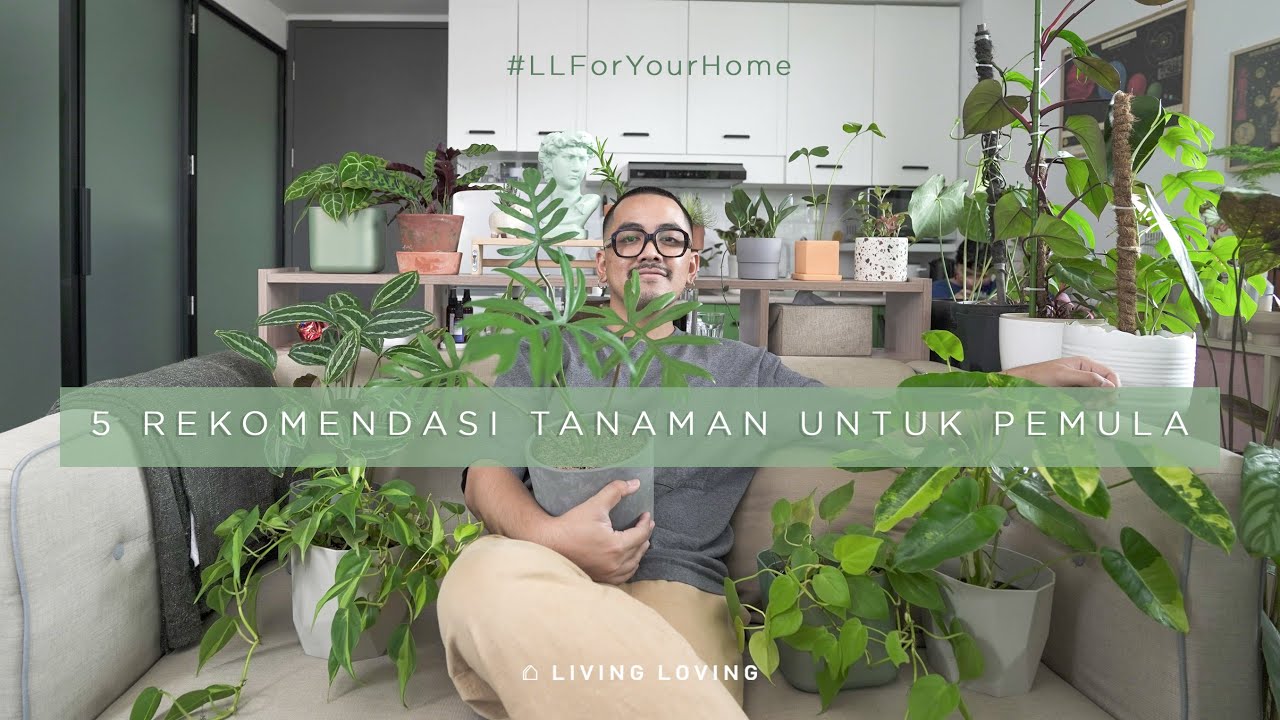 For Your Home: 5 Tanaman Indoor untuk Pemula