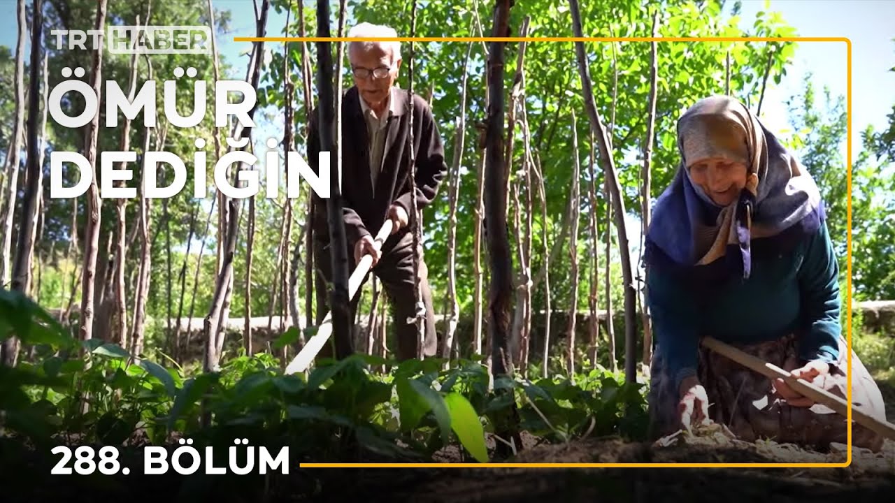 Ömür Dediğin 288. Bölüm
