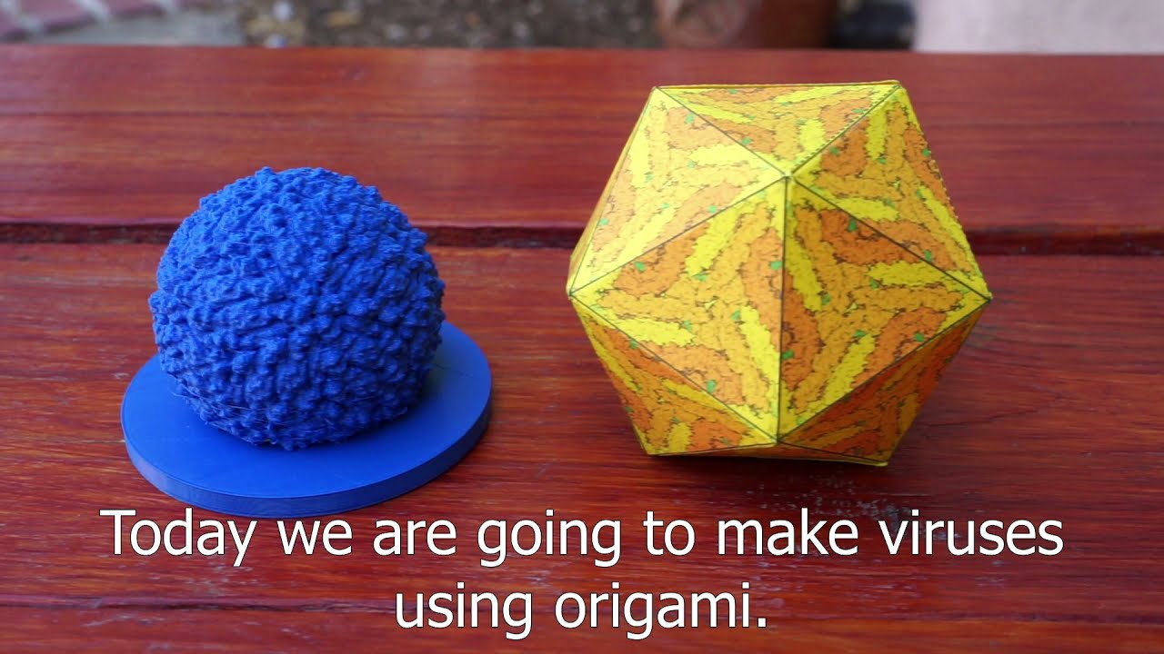 Science Story Time Activity: Virus Origami