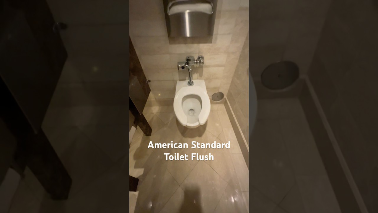 American Standard Afwall Toilet Flush with Zurn Sensor | The Prince Waikiki Hotel, Honolulu, Hawaii