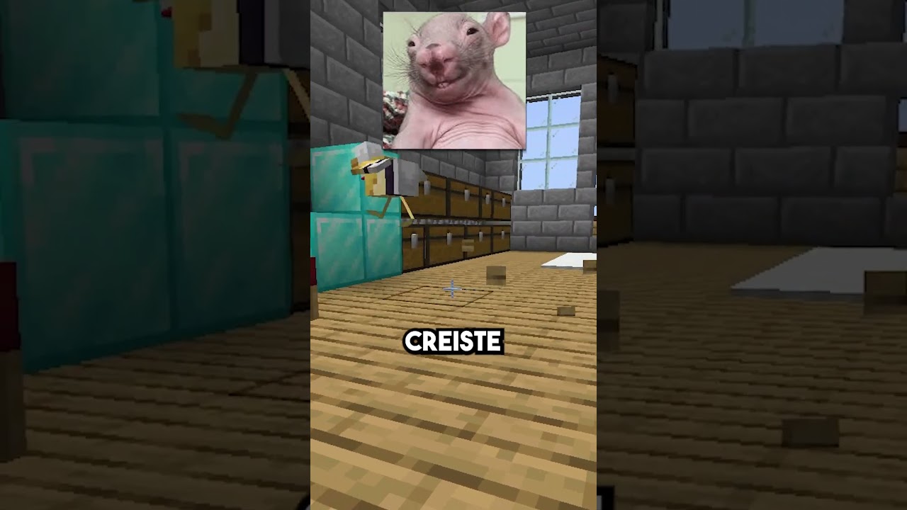 SOY UNA ESCALERA 🤫 #minecraft #laos