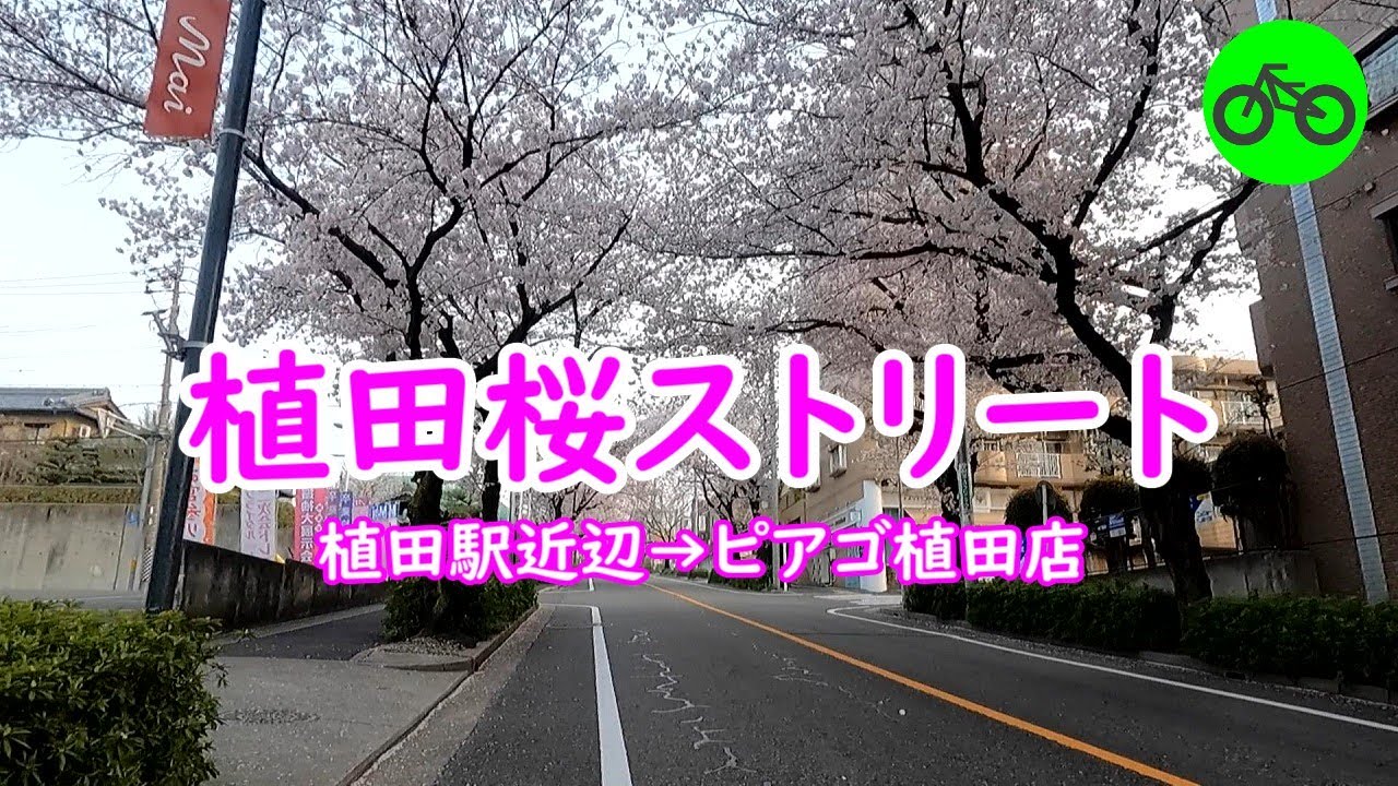 名古屋市天白区植田桜ストリート◆植田駅近辺→ピアゴ植田店