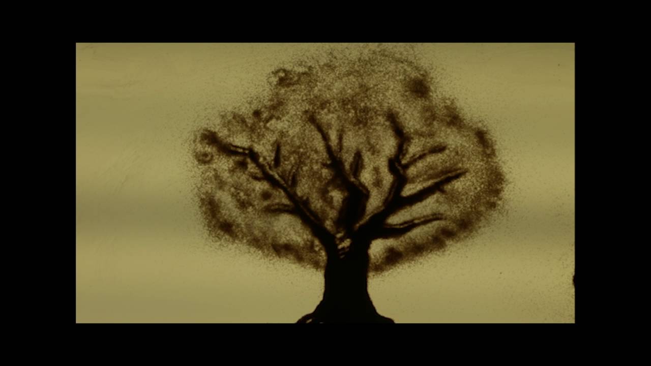 branch -- a short film