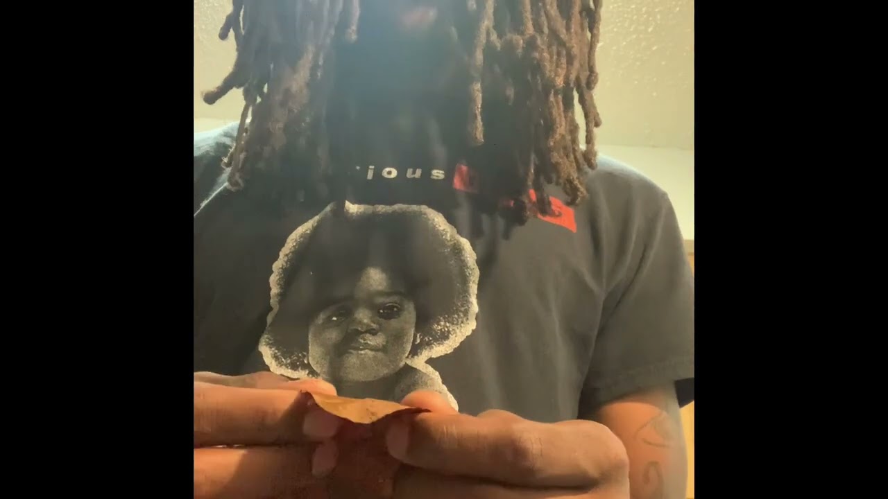 Backwoods Batch 002 Review + Rolling! 🪵