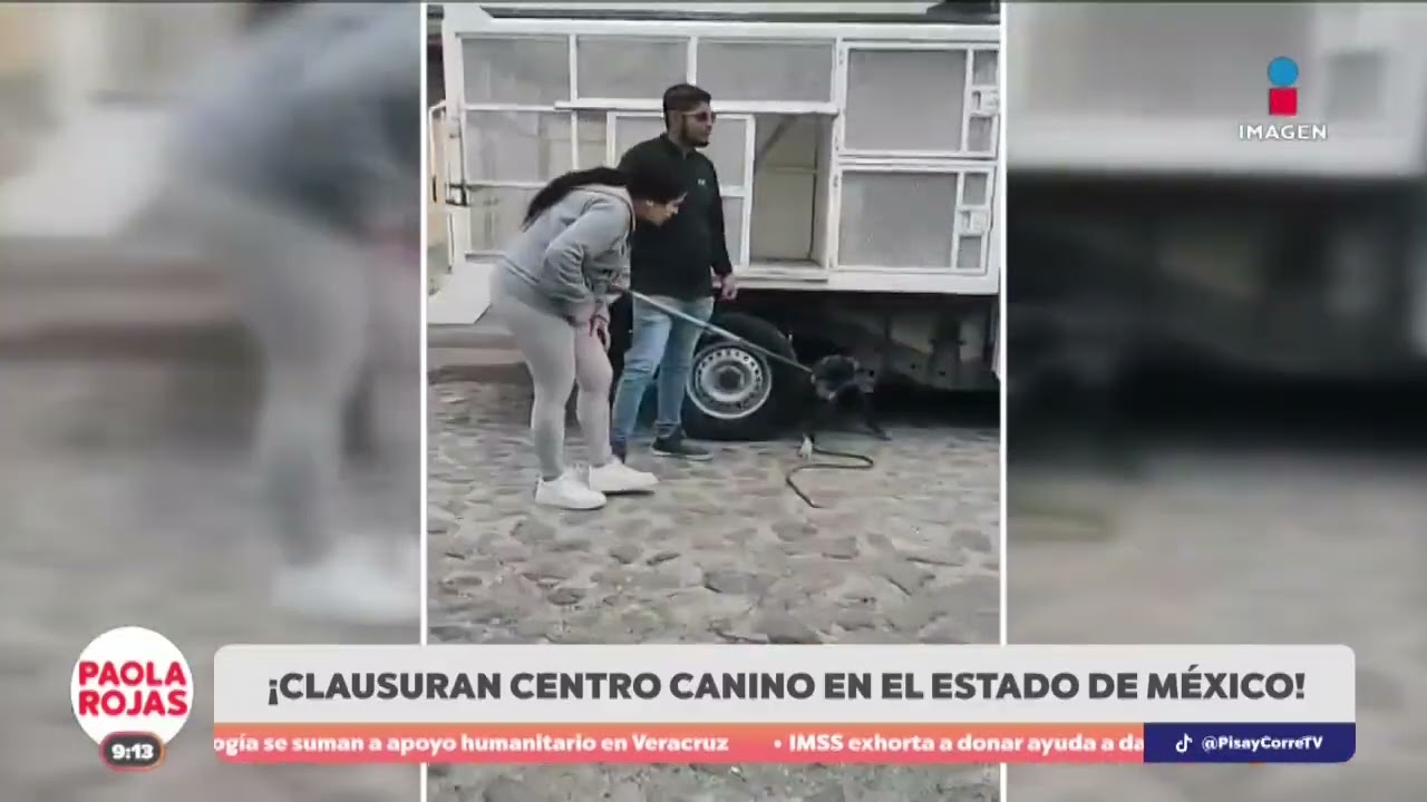 Clausuran centro de control animal en Tec&aacute;mac por maltrato | DPC con Paola Rojas