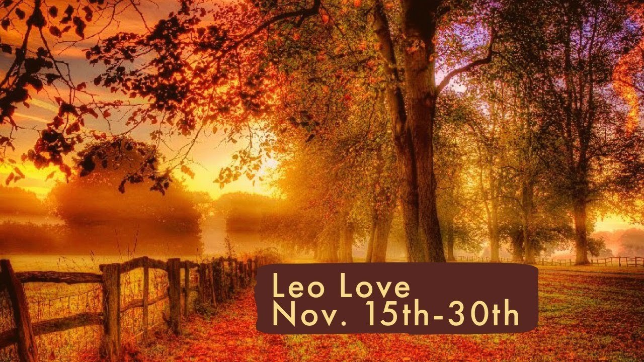 Leo Love:  Nov. 15th-30th  “Marriage…job offer?  It looks good.