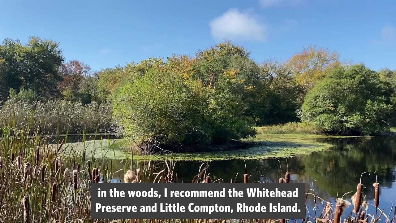 Whitehead Preserve at Dundery Brook, Little Compton, RI