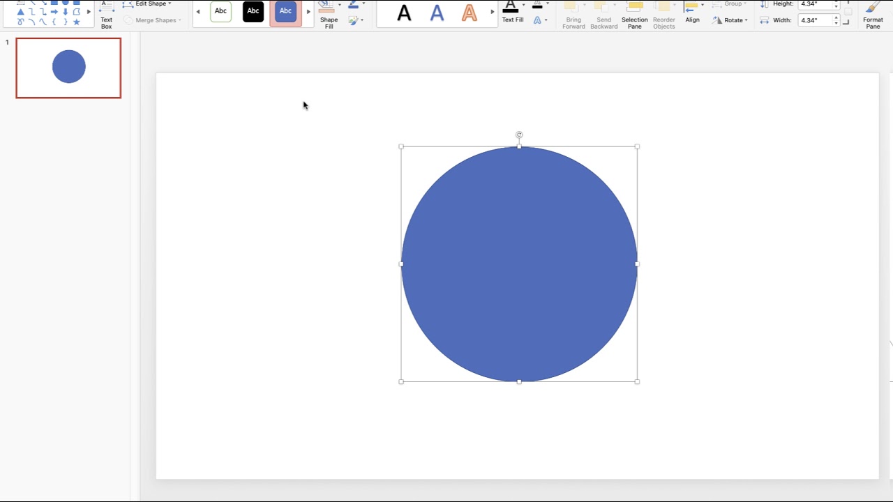 concentric circles