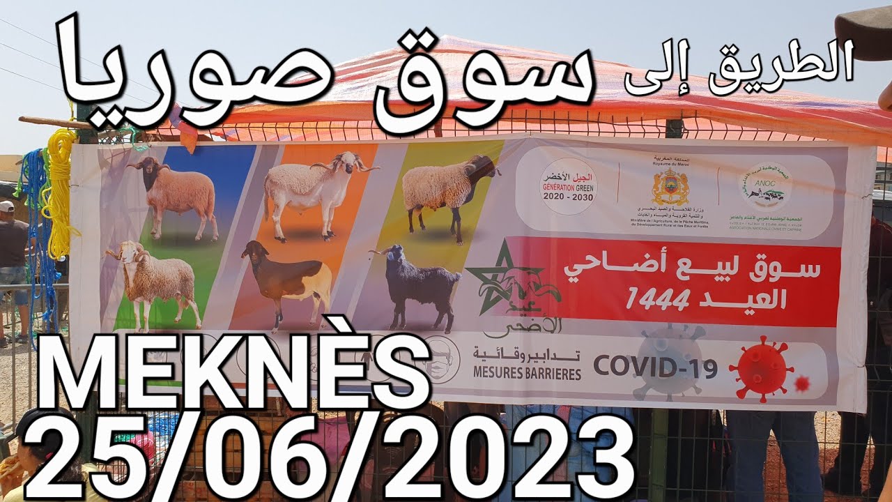 مكناس الأحد 25/06/2023 الذهاب إلى سوق صوريا
